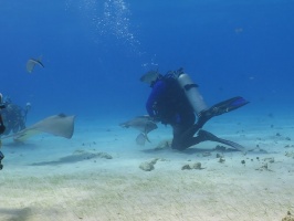 065 John at Stingray City IMG 6000